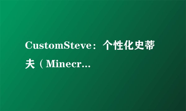 CustomSteve：个性化史蒂夫（Minecraft角色）的定制之旅
