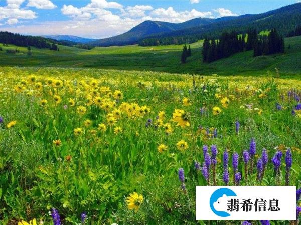 李白《劳劳亭》天下伤心处赏析-唐代关于别有怀抱的古诗