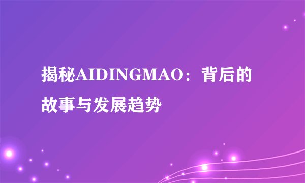 揭秘AIDINGMAO：背后的故事与发展趋势