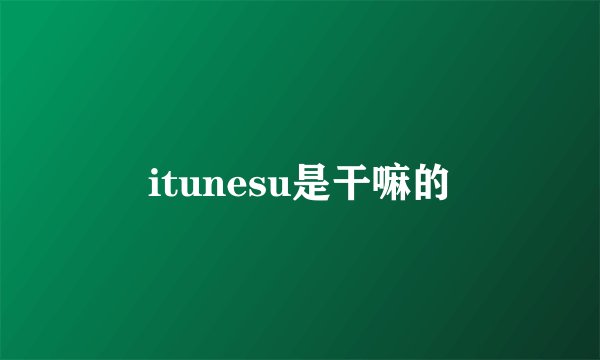 itunesu是干嘛的