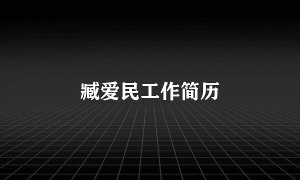 臧爱民工作简历