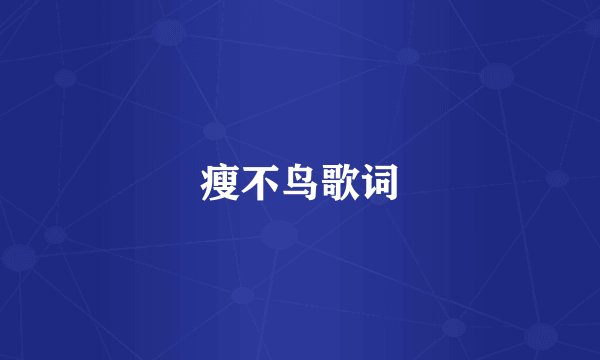 瘦不鸟歌词