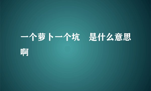 一个萝卜一个坑 是什么意思啊