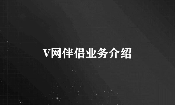 V网伴侣业务介绍