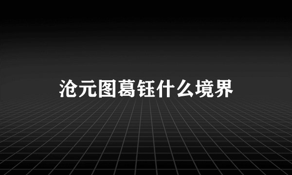 沧元图葛钰什么境界