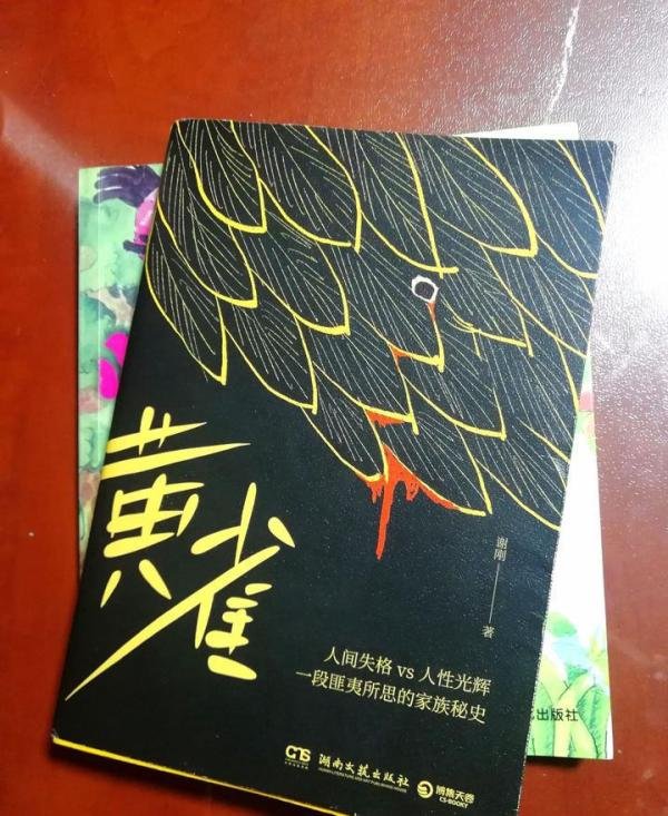 《黄雀》很暖心的一个悬疑故事