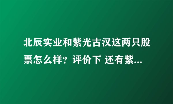 北辰实业和紫光古汉这两只股票怎么样？评价下 还有紫光为何一直平牌！