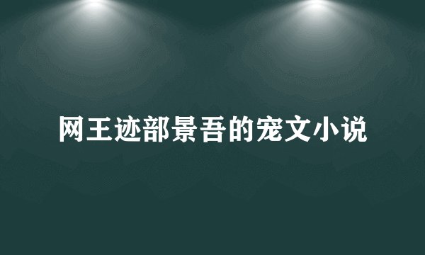 网王迹部景吾的宠文小说