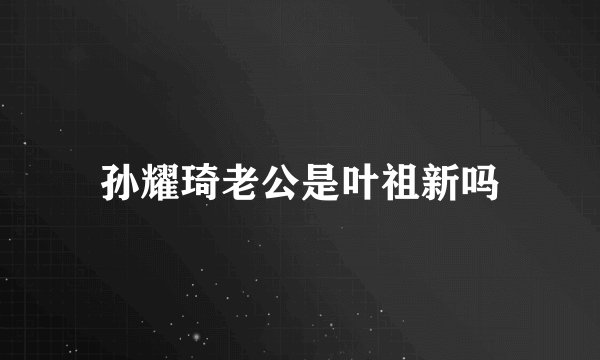 孙耀琦老公是叶祖新吗