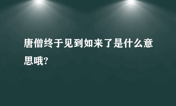 唐僧终于见到如来了是什么意思哦?