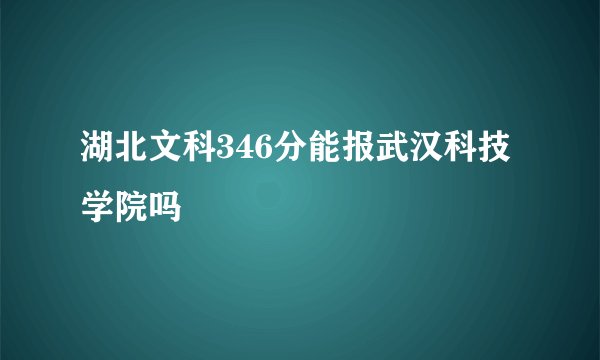 湖北文科346分能报武汉科技学院吗