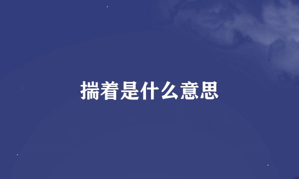 揣着是什么意思