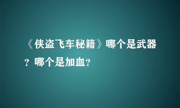 《侠盗飞车秘籍》哪个是武器？哪个是加血？