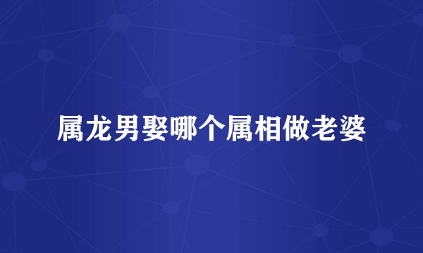 属龙男娶哪个属相做老婆