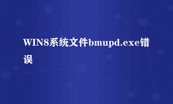 WIN8系统文件bmupd.exe错误