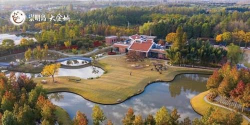 崇明岛大爱城属于上海吗，怎么是江苏产权