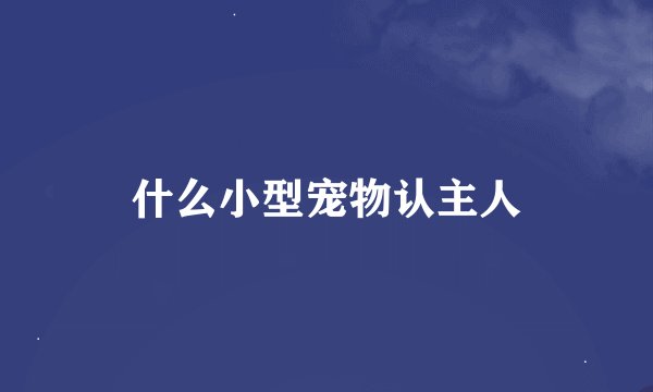 什么小型宠物认主人