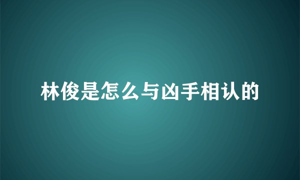 林俊是怎么与凶手相认的