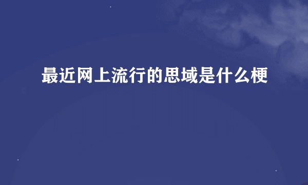 最近网上流行的思域是什么梗