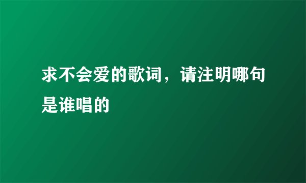 求不会爱的歌词，请注明哪句是谁唱的