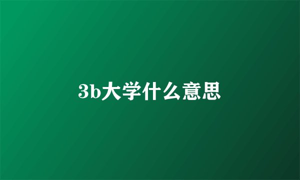 3b大学什么意思
