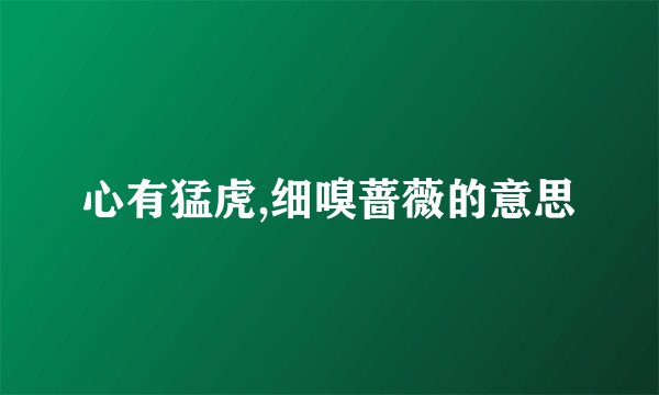 心有猛虎,细嗅蔷薇的意思