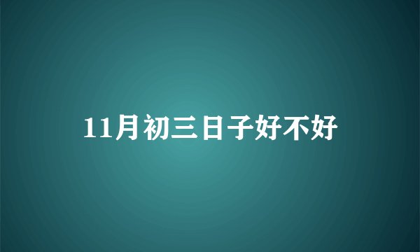 11月初三日子好不好