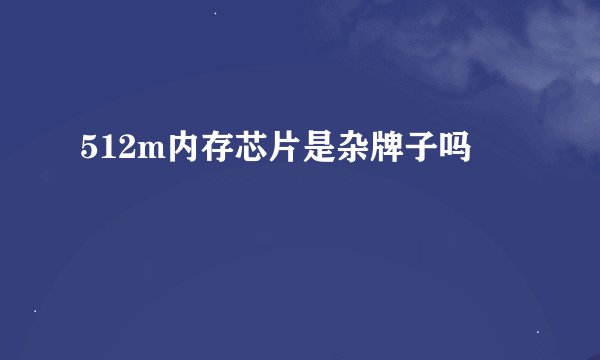 512m内存芯片是杂牌子吗