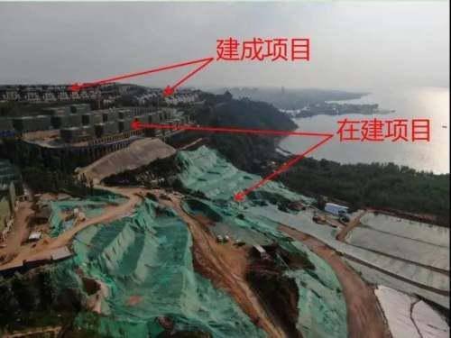 云南滇池南岸别墅密布成水泥森林，这对当地的环境有什么影响？