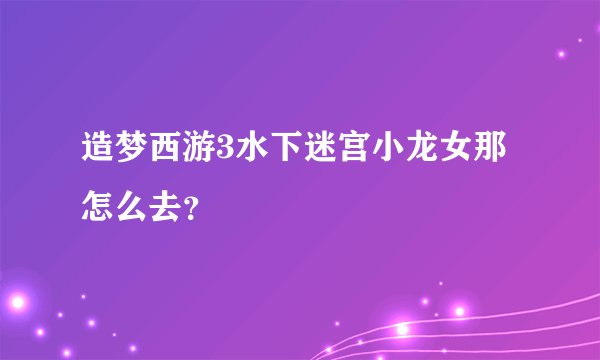 造梦西游3水下迷宫小龙女那怎么去？