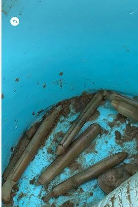 微信时刻视频在哪里，时刻视频怎么用怎么退出