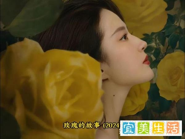 刘亦菲：玫瑰的故事 (2024)