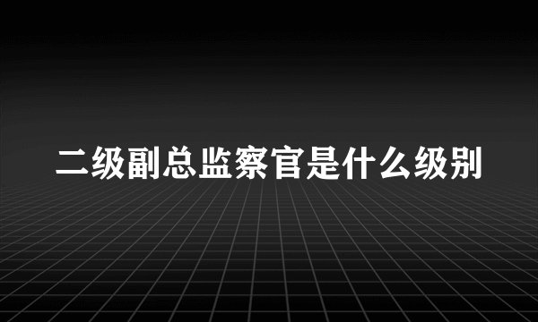 二级副总监察官是什么级别