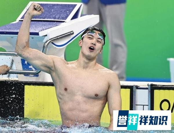 汪顺拿下13枚全运会金牌 成全运会历史新任金王