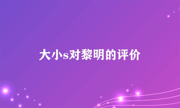 大小s对黎明的评价