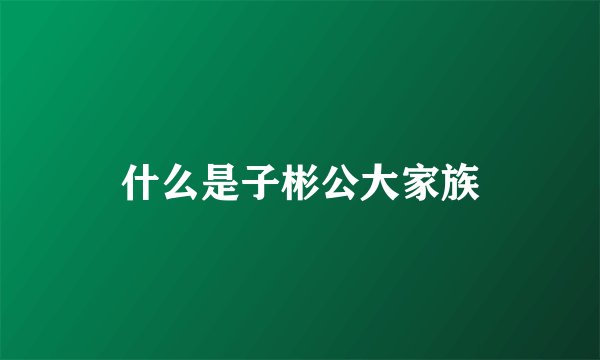 什么是子彬公大家族