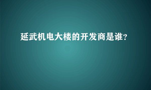 延武机电大楼的开发商是谁?