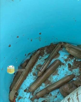 微信时刻视频在哪里，时刻视频怎么用怎么退出