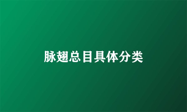 脉翅总目具体分类
