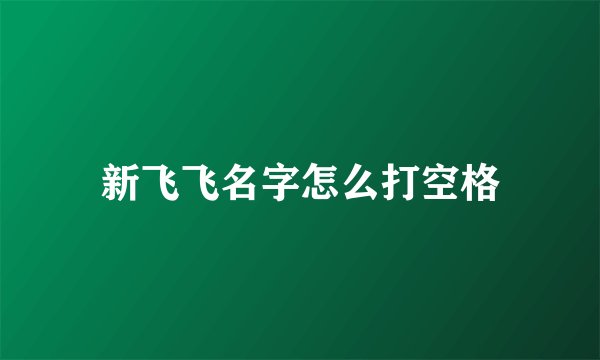 新飞飞名字怎么打空格