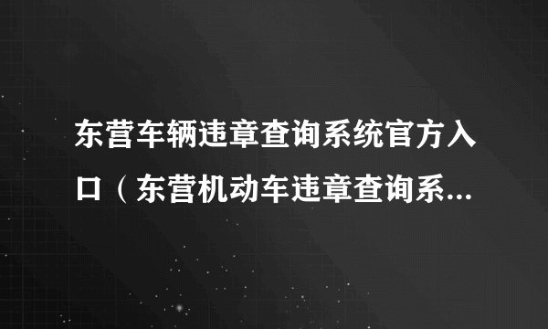 东营车辆违章查询系统官方入口（东营机动车违章查询系统入口）