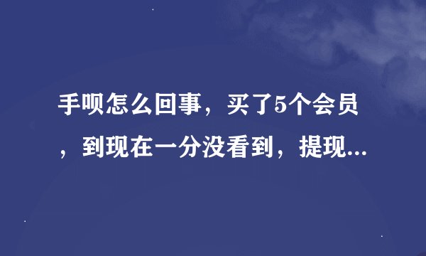 手呗怎么回事，买了5个会员，到现在一分没看到，提现一次申请到现在不到账，现在直接服务器连不上，骗子