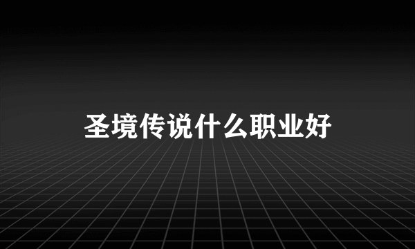 圣境传说什么职业好