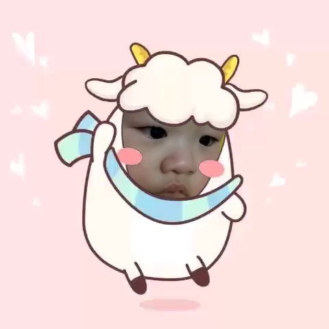 阿了个喵的介绍