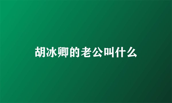 胡冰卿的老公叫什么