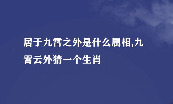 居于九霄之外是什么属相,九霄云外猜一个生肖