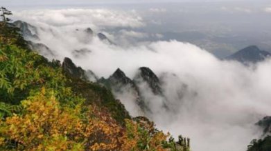 黄山雨后云海圈粉2万游客，现场到底是何景象？