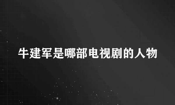 牛建军是哪部电视剧的人物