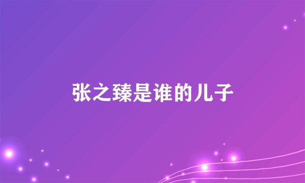 张之臻是谁的儿子