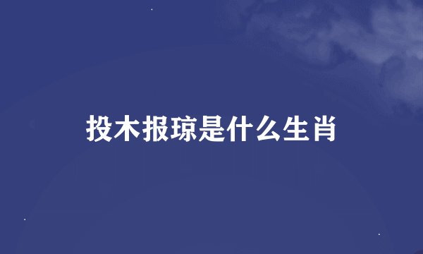 投木报琼是什么生肖
